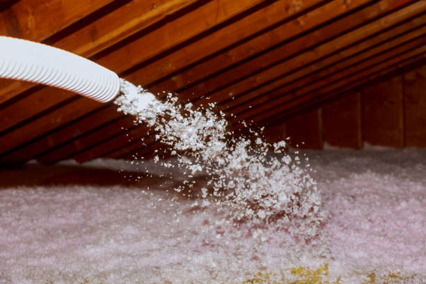 Best Soundproof Insulation Installation  in Loretto, PA